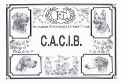 CACIB.jpg