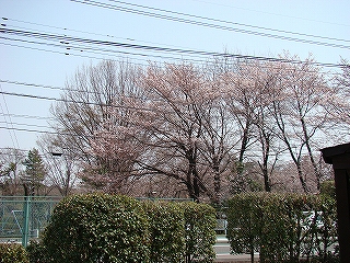 s-dc040604.jpg