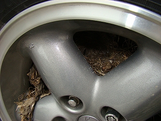 s-dc0527109.jpg