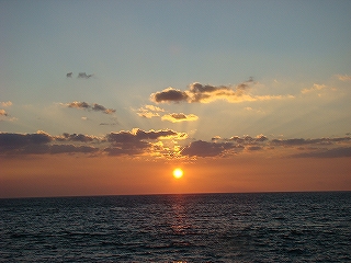 s-dc1114298.jpg